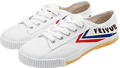 PENXZT Kampfsportschuhe Unisex Tai-Chi Sneakers Shaolin Mönch Kampfsportschuhe Mode Qigong Trainerss,Weiß,38 EU