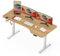 SANODESK 160×75CM Electric Standing Desk Height Adjustable Corner Standing Desk Sit Stand Table Adjustable Desk with Memory Smart Pannel for Home Office
