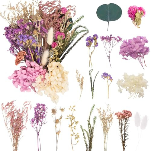 LAUMOE Trockenblume Lila, Getrocknete Deko Blumen, Trockenblumen Zum Basteln Pampasgras Klein Trockenblumen Set ​für Kunst DIY Harz Scrapbooking Handwerk Karten Machen