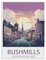 Bushmills Northern Ireland，Puzzle 1000 Pieces paper Puzzle Adult Children'S Educational Toy Family Decompression Game（50x70cm）-P58