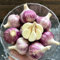 knoblauch samen mehrjährig winterhart - bio gemüsesamen hochbeet garten knoblauchsamen gemüse bonsai winterharte stauden balkon deko pflanzen 50pcs
