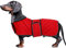 MOREZI Dackel Hund Winterjacke. wasserdichte Hundejacke. Mit Wolle, inneren und verstellbaren Schultergurten. Hundekleidung im Freien-Rot-L