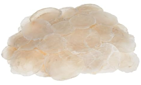 NaDeco Camar Perlmuttscheiben Natur 0,5 kg, Muschelscheiben, Deko | Von den Philippinen, 0,5 kg, durchscheinend, für Windlichter, Mobiles und Girlanden