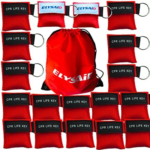 Elysaid CPR-Barriere Schlüsselanhänger mit CPR-Gesichtsschutz, CPR Life Key für CPR Aed Training, Rot, 100 Stück, Rot/Ausflug, einfarbig (Getaway Solids), 100 Count (Pack of 1)
