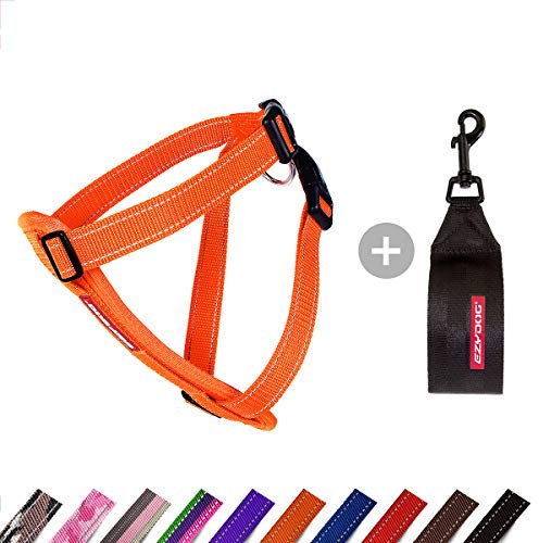 EzyDog Hundegeschirr Auto mit Sicherheitsgurt, Brustgeschirr Hund, Sicherheitsgeschirr Hund, 'Chest Plate' Geschirr für Kleine, Mittelgroße und Große Hunde, Reflektierend, Gepolstert (2XL, Orange)