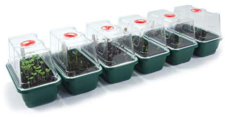 Britten & James Professional Mini Windowsill Propagators [Pack of 6]