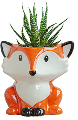 ACAREY Pot de Succulente Pot de Fleur Pot en Céramique Interieur Petite Pots de Plantes pour Bureau Maison Décoration de Jardin Intérieur Extérieur (Renard)