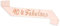 ALLY-MAGIC 40th Birthday Sash, Rose Gold 40 & Fabulous Sash for Women Happy 40th Birthday Gift Party Decorations Supplies Accessories Y3FABJD (40 FABULOUS)