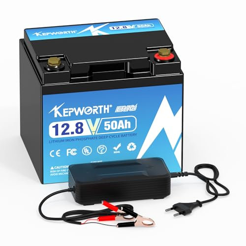 LiFePO4 Batteria 12V 50ah con batteria di classe A e BMS Deep Cycle 10000 + per barca solare camper campeggio golf cart e così di suite