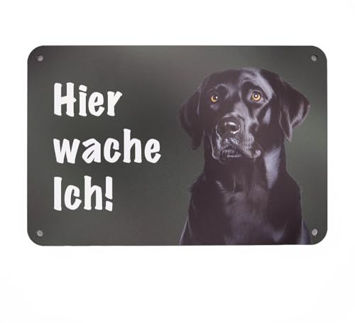 Schwarzer Labrador Retriever „Hier wache ich!“ Hundeschild – Warnschild Hund für Gartenzaun, Gartentor und Haustür – Aluminium-Verbundmaterial – 24 x 16 cm