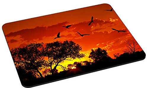 PEDEA Gaming und Office Mauspad - 220 x 180 mm - mit vernähten Rändern und rutschfester Unterseite, African Sunset