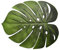 GREENSTORE 5 Stück Palmblätter Platzdeckchen, waschbar, grüne Blattform, Bowl-Untersetzer, Pads für hawaiianische Luau-Dschungel-Strand-Mottoparty