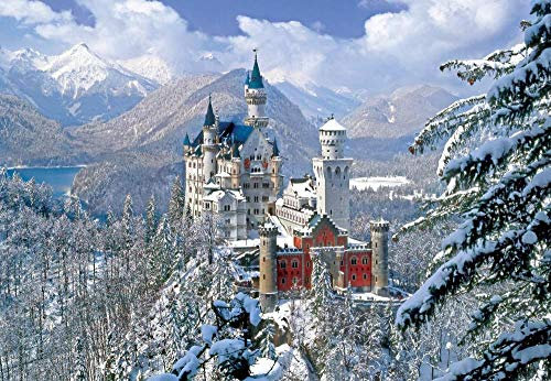 Ivansung Neuschwanstein Schloss Malen nach Zahlen Kit für Erwachsene, Mittel, Realistisch, Acryl, 1 Stück, Nicht zusammenklappbar