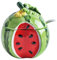 Gewürzdose, Obstform, Keramik, Zuckerdose, Salz, Pfeffer, Vorratsglas, Gewürztopf, Behälter mit Deckel, Löffel(watermelon)
