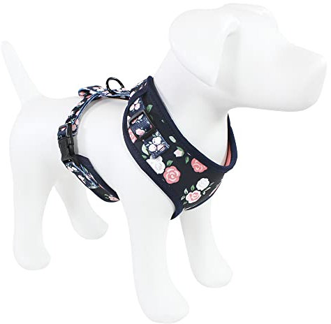 Luvable Friends Unisex Haustiergeschirr, Blumenmuster, klein