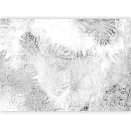 murando - Papier peint panoramique nature 400x280 cm - Revêtement mural décoration pour chambre salon cuisine - Design unique et moderne - Gris blanc - Feuilles de monstera b-C-10231-a-c