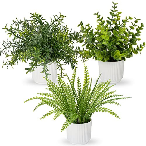 Oairse 3er Set Kunstpflanzen im Topf, Künstliche Pflanzen Wie Echter Eukalyptus Mini Künstlicher Rosmarin Künstliche Farnpflanze für Dekoration, Wohnzimmer, Tischdekoration, Badezimmer, Schreibtisch