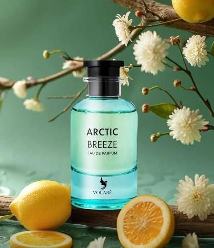 Arctic Breeze Inspiration Imagination Eau de Parfum, 100 ml