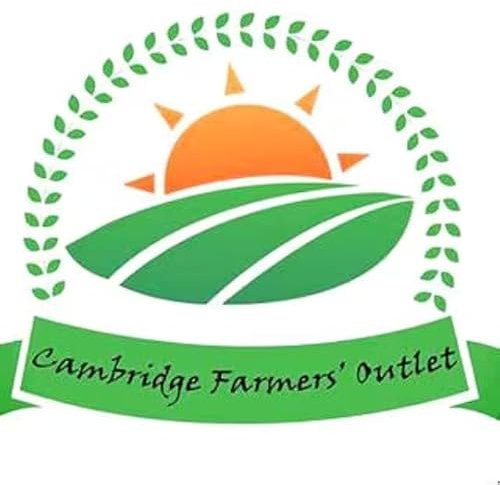 Clematis 'Princess Diana' 5cm Transplant or 'Plug Plant' (Free UK Postage)