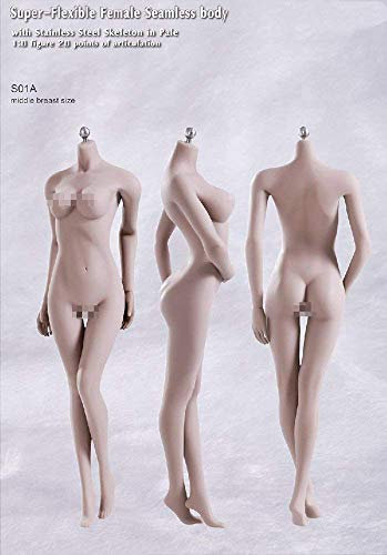 ZSMD 1/6 Female Flessibile Steel Stainless Nude Body senza cuciture Girl Figure Doll