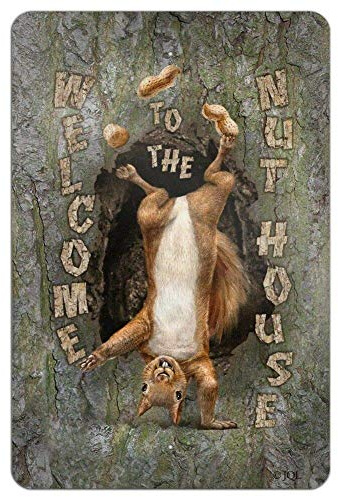 6x8 Welcome to the Nut House Squirrel Home Business Office Metal Sign