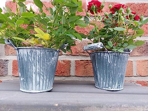 meytrade Blumentopf (2er Set) Kräuter Topf Vintage Landhaus grau blau Gartendeko Vase Eimer Übertopf Antik mit Holzgriff