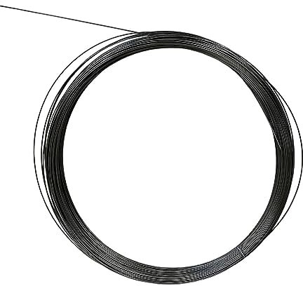 OZXJW Alambre Recto de aleación de Nitinol súper elástico de 1M, Alambre Recto de níquel-Titanio, filamento hiperelástico de 0,1-1,8 MM, Alambre de Acero for Resorte Negro(0.1MM)