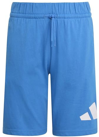 adidas Unisex - Bambini e Ragazzi Essentials Big Logo Shorts, Ray Blue/White, 15-16 Years