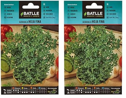 Graines aromatiques de Batlle - Basilic feuille fine (3g) (Lot de 2)