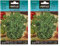 Graines aromatiques de Batlle - Basilic feuille fine (3g) (Lot de 2)