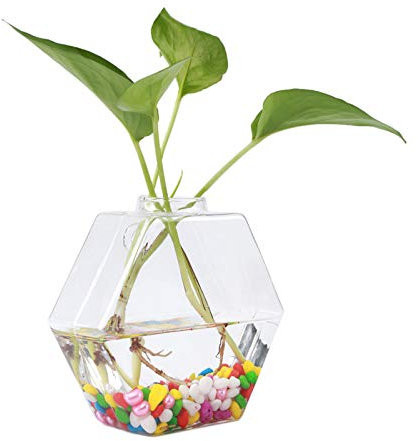 Plantes suspendues Fleurs en Verre Vase Mur (Hexagramme)