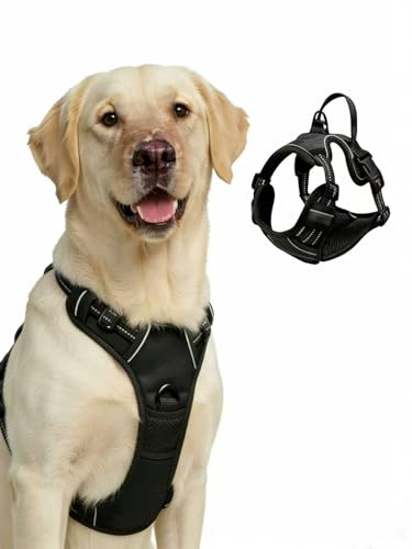 Fellstern Anti-Zieh-Geschirr,Anti-Zieh Hundegeschirr mit Step-in Design – Atmungsaktiv & Gepolstert-Für entspanntes Spazierengehen – Für Hunde jeder Größe（Größe L）