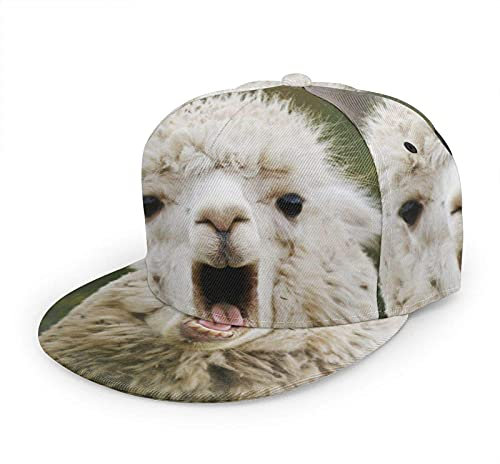 Oaieltj Unisex Baseball Cap Erwachsene Teens Adjustable Snapback Flat Brim Baseball Cap Cool Hip Hop Hat, Lustige Llama, One size