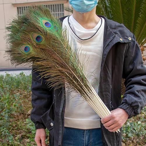ZYKAA 10/20/50 Stück natürliche Pfauenfedern 25–65 cm für Party, Tisch, Vase, Dekoration, Schmuckherstellung, Basteln, Federzubehör, 60–65 cm, 10 Stück
