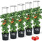 MELTOM Tomatenpflanztopf mit Rankhilfe – Ideal für die Tomatenzucht, Pflanzenaufzucht-Turm mit Stütze für stabile Pflanzen, erhältlich in 3 Größen: 12L, 18L, 28L. (5, 12 L)
