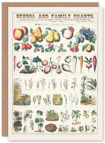 Artery8 Willson and Calkins Art Card School And Family Charts No XXI