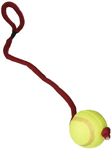 Trixie 3479 Tennisball am Seil, ø 6/50 cm