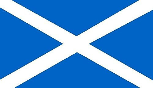 U24 Fahne Flagge Schottland 60 x 90 cm