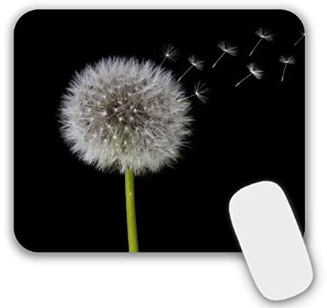 Mousepad Klein Mauspad mit Motiv 24 x 20 x 0,3 cm Schwarz rutschfeste Mauspads für PC,Laptop,Home, Office (202)