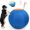 Herding Ball für Hunde, 43,2 cm großer Ball, interaktives Hundespielzeug für mittelgroße und große Hunde, komplettes Set, Hundeball mit Handpumpe, Pferdeball zum Spielen, Haustierballspielzeug mit