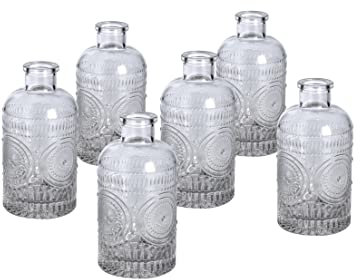 Glass Bud Vases Set of 6,Small Clear Bud Vases, Mini Vintage Decorative Bottles, Modern Floral Centerpiece for Flowers, Perfect for Vintage Bulk Tall Cafes, Office Table, Home and Garden (Clear)