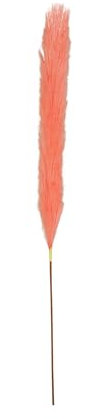 Ligne Déco - Plumeau Artificiel Corail - Lot de 4 - Décoratif - Élégant - Tendance Déco - Fleurs Artificielles - Durable - Entretien Facile - Plante Artificielle Intérieur - Plastique - 77cm