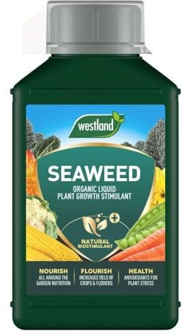 Westland Organic Seaweed Liquid Plant Growth Stimulant 1L – Natural Fertilizer for Healthier, Stronger Plants, Boosts Growth, Improves Root Development, Ideal for All Plants and Gardens