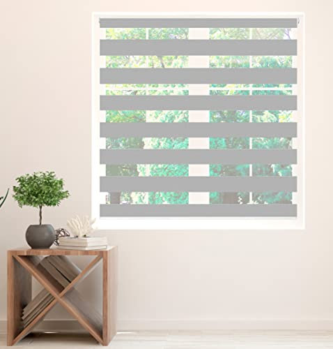 Zebra Blind Day and Night Roller Blind Aluminium Frame Dual Layer Fabric Modern Window Blind Easy to Install Easy Clean Privacy Living Room Kitchen Bedroom Bathroom 155 cm Drop (Grey, 125cm Width)