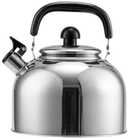 GLEAVI Bouilloire Sifflante Induction Acier Inoxydable Pour Bouillir Eau Cuisine Camping