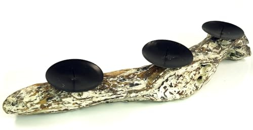 Antikweißer Treibholz Kerzenhalter für DREI Kerzen, naturbelassen, Modell 2 | Einzigartiger Kerzenhalter aus Naturholz, white-washed Optik, zwei Metallhalter, Durchmesser 9,5 cm.