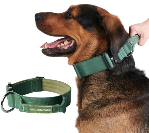 Spark Paws Taktisches Hundehalsband – Robuste, Premium-Qualität, Dick und Langlebig für Große und Mittelgroße Hunde - Army Green - S: 16-25kg [5cm]