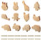 HO2NLE 12 Stück Schrankknöpfe Holz für Kinderzimmer Möbelknöpfe Tierformen Holzknäufe mit Tiermotiven Tier Holz Türknauf Kinder Schubladengriff für Dekoration