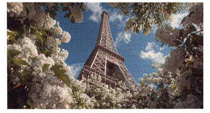 Puzzle 1692 Puzzle Erwachsene, EIN Herausforderndes Rätsel, Puzzles-Geschenk 179x31cm, Puzzlespiele für Die Ganze Familie, Geschenke für Frauen, Geschenke für Männer, Thema: Blumen Eiffelturm j-426