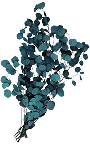 Cabilock Getrocknete Blüten Getrocknete Blüten Getrocknete Blüten Getrocknete Blüten Getrocknete Blüten Faux Bl? Spray Faux Silber Zweige Home Tisch Dekoration Mittelstücke Thuja